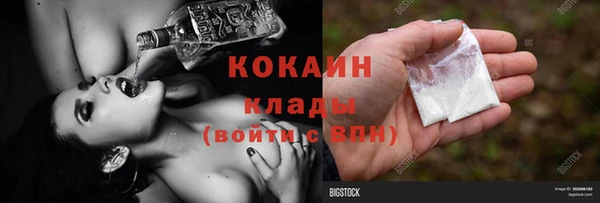 mix Богородицк