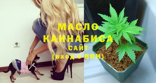 mix Богородицк