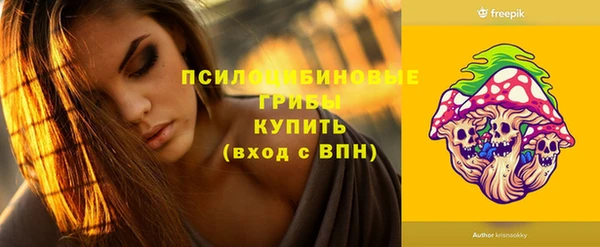 mix Богородицк