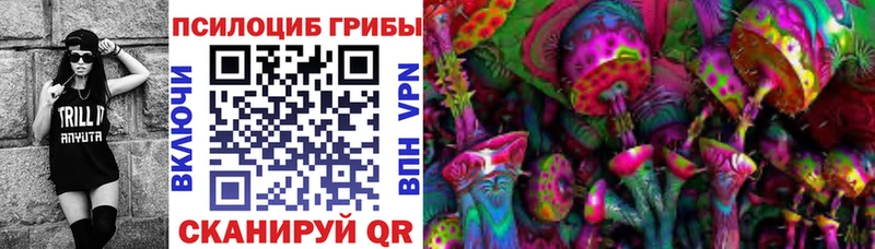 Псилоцибиновые грибы Cubensis Жигулёвск